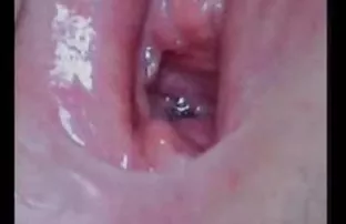 XXX سگ زیبا به آلمان کون بزرگ وسفید