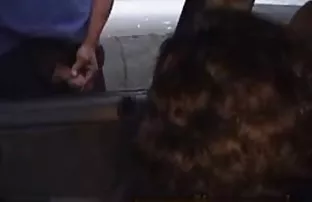 XXX دو جوان سیاه مکیدن و لیسیدن تخم مرغ در مرد سیاه زنان سکسی کون بزرگ و سفید. آنها این کار را به آرامی به عنوان اگر او عضو نمی باشد اما مورد علاقه من موز!